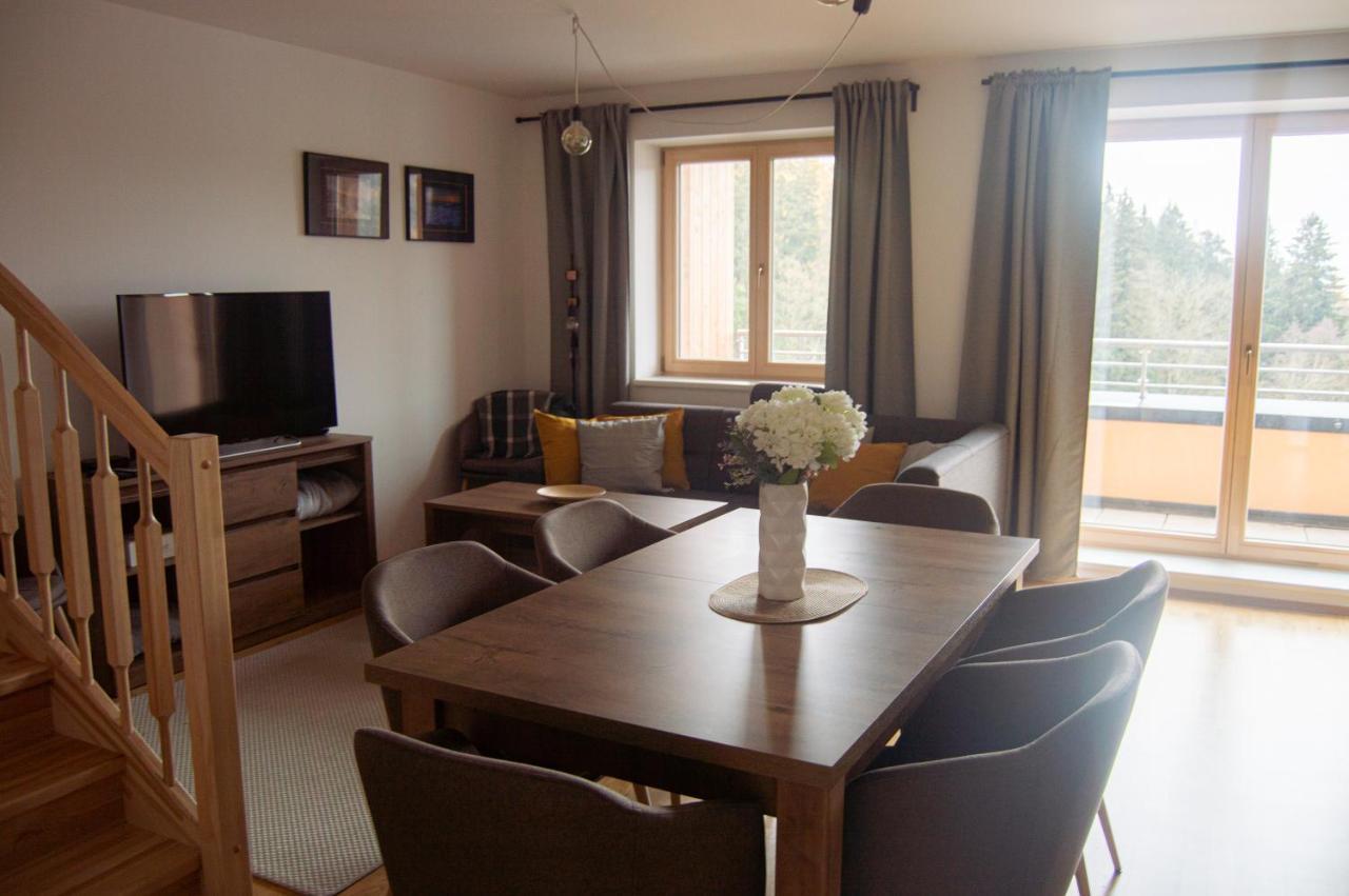 Ferienwohnung Lucni Apartman Rozmarina Černý Důl Exterior foto